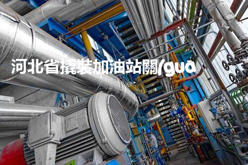 河北省撬裝加油站關(guān)鍵技術(shù)突破！化工廠拆除工程的新方法探索？